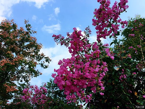 南京鼓励建设单位推进全过程咨询发包，专业服务引领建筑行业升级