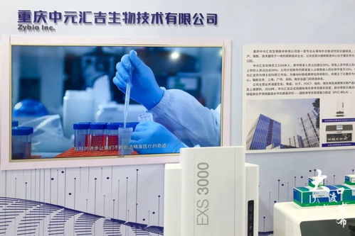 2021智博会 大渡口区14家企业携前沿科技产品集体亮相，展示区域创新实力