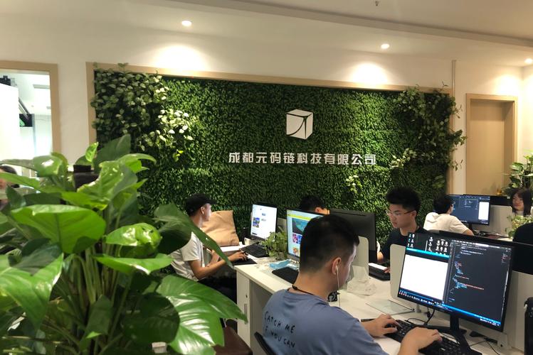 对话林碧波 以技术开发为基，绘就企业数字化转型新蓝图